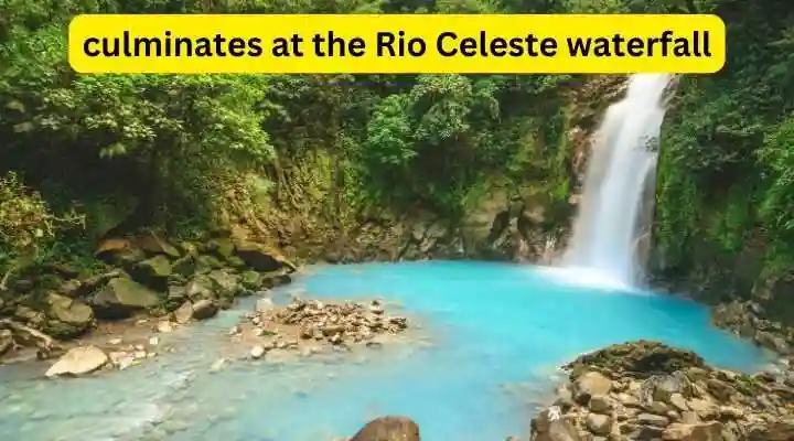 Is Costa Rica Safe For Solo Women Travelers