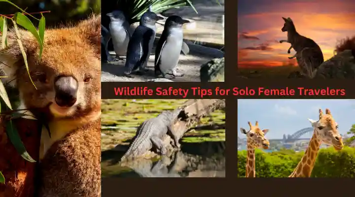 Wildlife Safety Tips for Solo Female Travelers